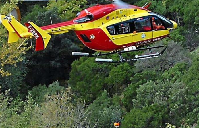 Gard: un cazador de 30 años gravemente herido por la embestida de un jabalí y evacuado en helicóptero