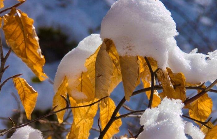 Domingo, “día de transición”: el lunes llega el invierno: ¡la nieve coqueteará con la llanura!