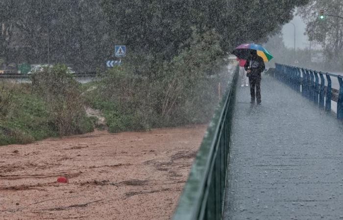 Málaga esquiva el caos | Diario Sur