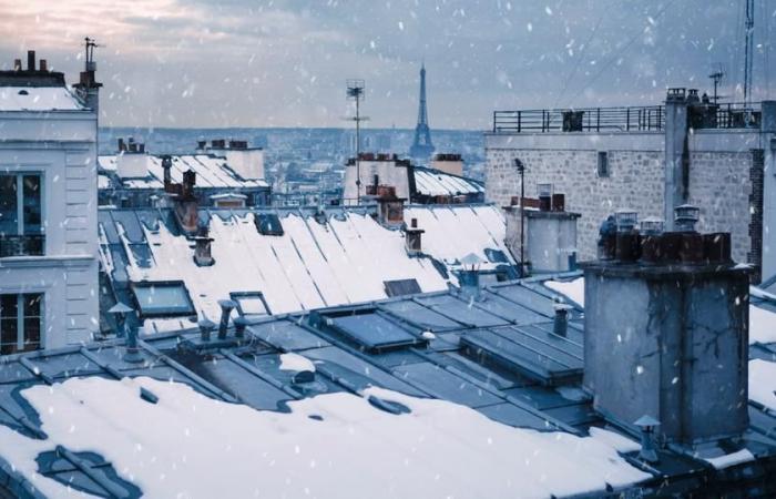 20 cm de nieve en París, -15°C en Orleans, heladas generalizadas… Estos meses de noviembre en los que Francia vivió un tiempo infernal