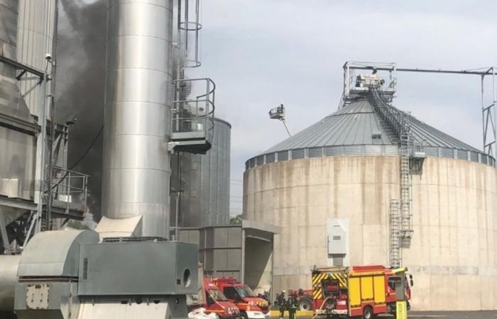 Más de 90 bomberos se movilizaron por el incendio de un silo lleno de cereales