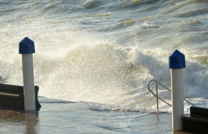 Las mareas altas regresan a la costa norte