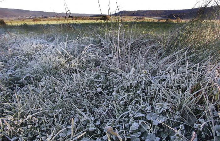 INFORME DEL TIEMPO. ¿Pronto la primera nevada de la temporada? Previsión de tiempo gris y ola de frío en Borgoña