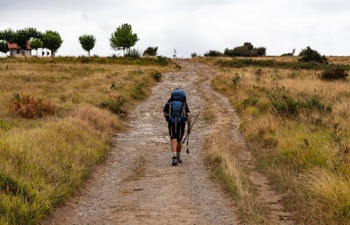 La Universidad de San Pablo toma el camino hacia Compostela