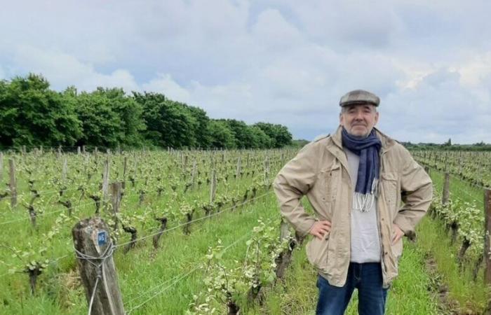 Mareau-aux-Prés celebra los libros y el vino