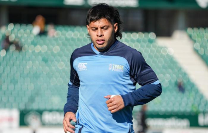 El internacional argentino Gonzalo García podría fichar en el Top 14