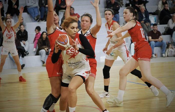 Baloncesto amateur – Nacional femenino 2: Gimont se pondrá a prueba en Deux-Sèvres contra un equipo de Chauray que aspira a escalar