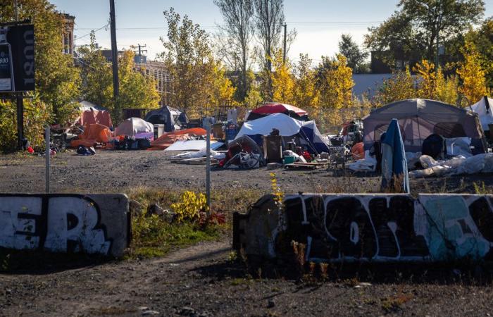 Itinerancia | Se pide un estado de emergencia en Montreal