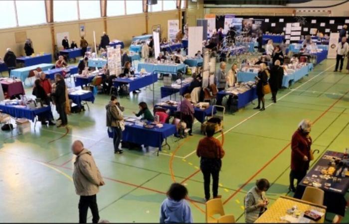 Numerosos autores, talleres, un dictado gigante… esta feria del libro promete un viaje literario