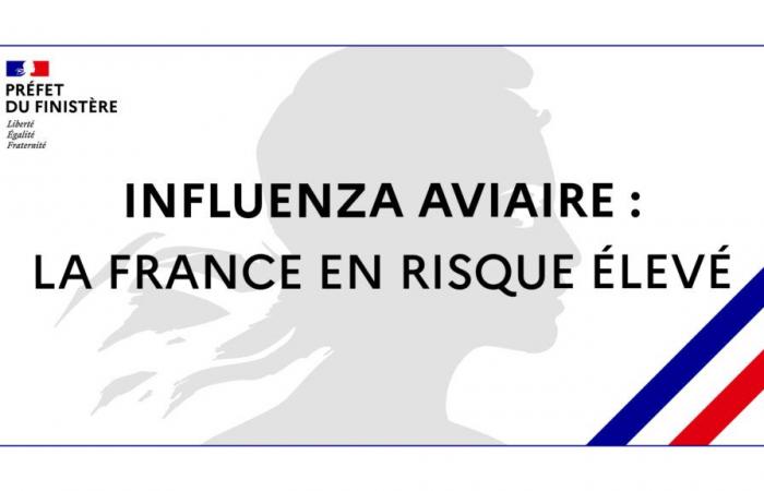 Influenza aviar: Francia está en alto riesgo desde el 9 de noviembre de 2024 – Influenza aviar – Animales – Acciones estatales