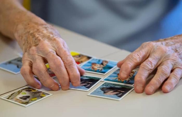 Regulador de la UE revoca decisión de bloquear lecanemab, fármaco contra el Alzheimer