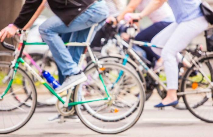 Yvelines lucha por hacer de la bicicleta un transporte diario