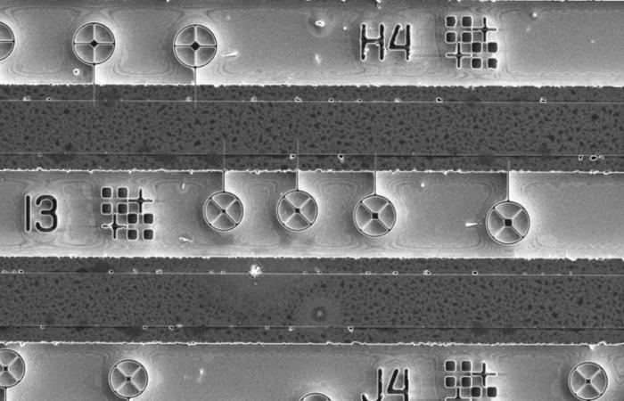 Quandela, CNRS, la Universidad Paris-Saclay y la Universidad Paris Cité se unen para acelerar la investigación y la innovación en fotónica cuántica