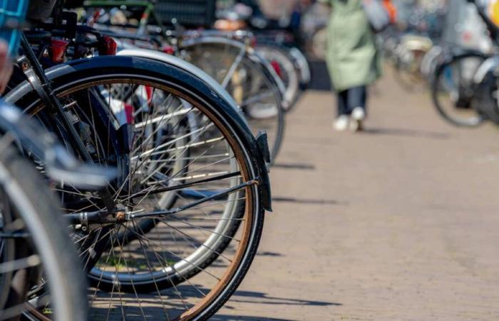 Desarrollo del ciclismo: Val-d’Oise, a la cabeza en las grandes periferias