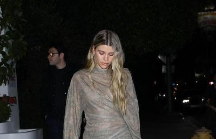 Sofia Richie actualiza esta polémica combinación de moda