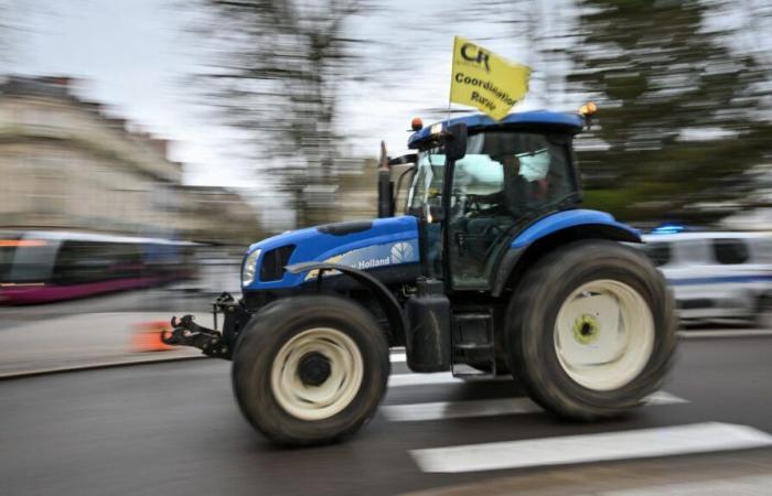 Los agricultores de la Coordinación Rural se movilizan frente a una plataforma Lidl en Bocas del Ródano