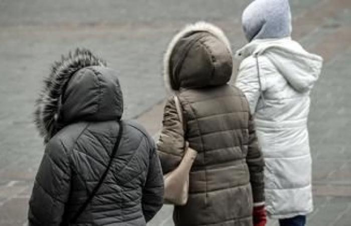 20 cm de nieve en París, -15°C en Orleans, heladas generalizadas… Estos meses de noviembre en los que Francia vivió un tiempo infernal