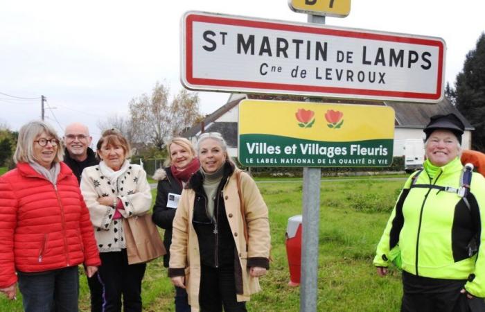 una mujer estadounidense en peregrinación a todos los Saint-Martins de Francia