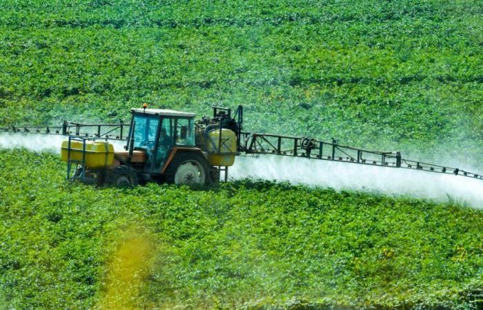 La agricultura suiza será menos contaminante en 2023