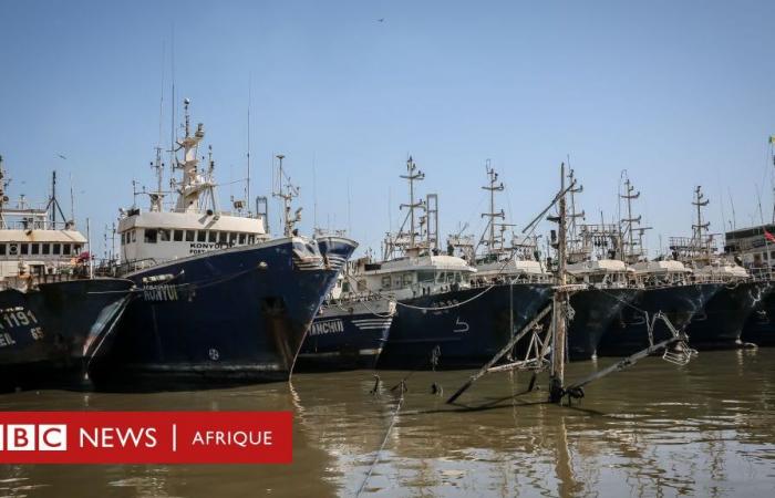 Lo que sabemos sobre la no renovación del acuerdo de pesca entre Senegal y la UE