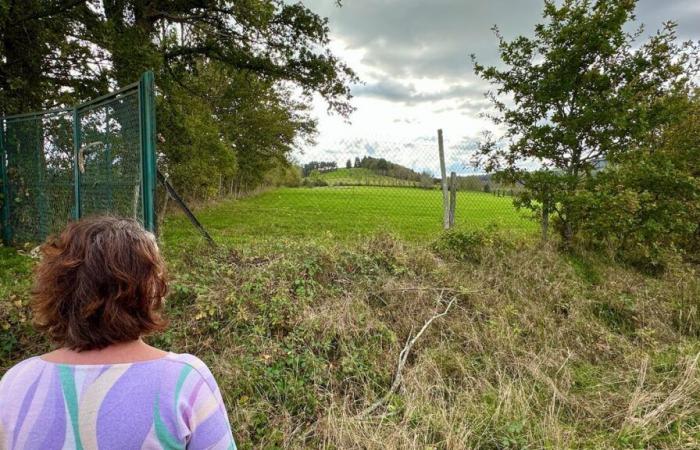 “Provocará terremotos”: los habitantes de Puy-de-Dôme se oponen a un proyecto de central geotérmica