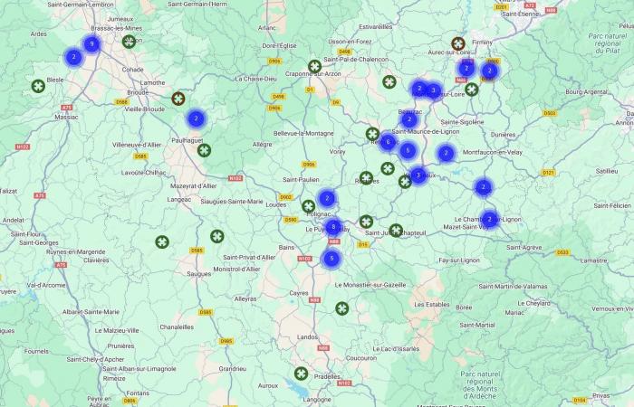 Esta preocupante invasión de la avispa asiática en Alto Loira