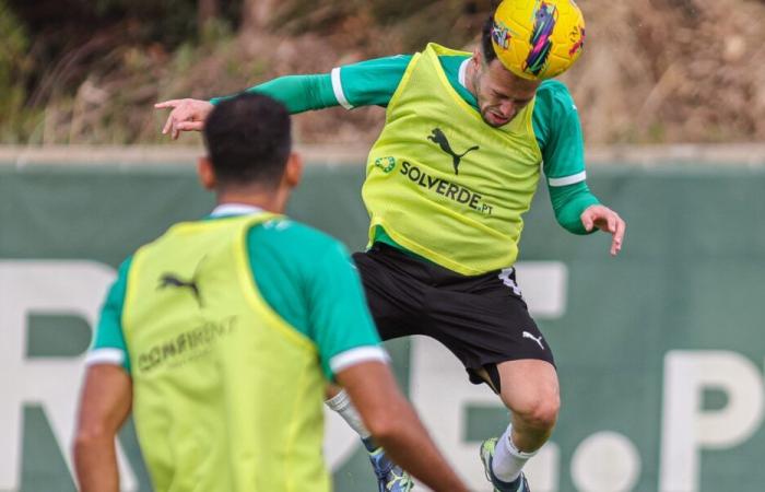 Punto cedido: Tiago Morais (LOSC) encuentra tiempo de juego y a su ex entrenador en Portugal