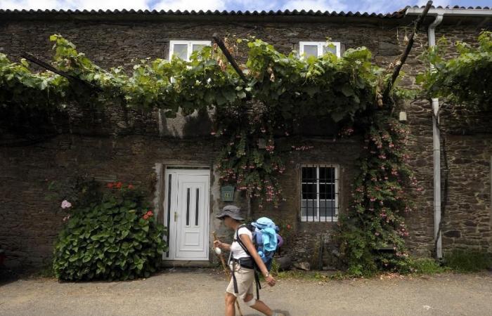 Compostela: mujeres víctimas de acoso sexual