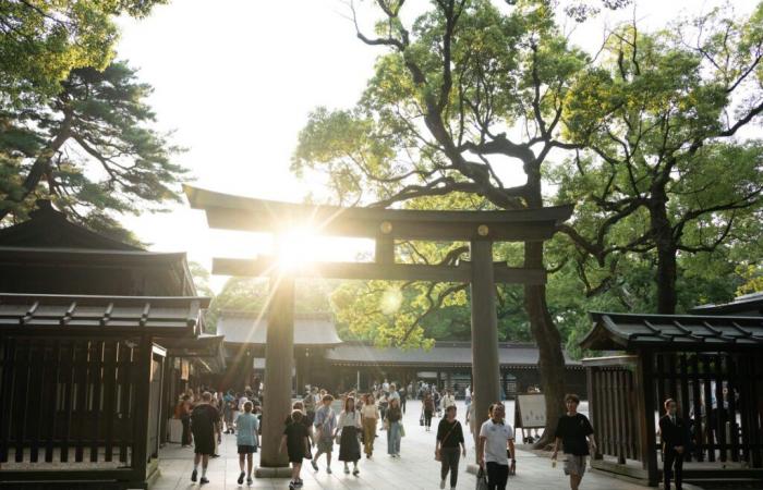 La policía japonesa arresta a un hombre estadounidense por supuestamente escribir letras en un santuario | Noticias de Turismo