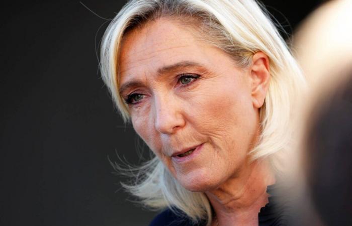 Juicio a la manifestación nacional: la extrema derecha denuncia un “deseo” de condenar al ostracismo a Marine Le Pen