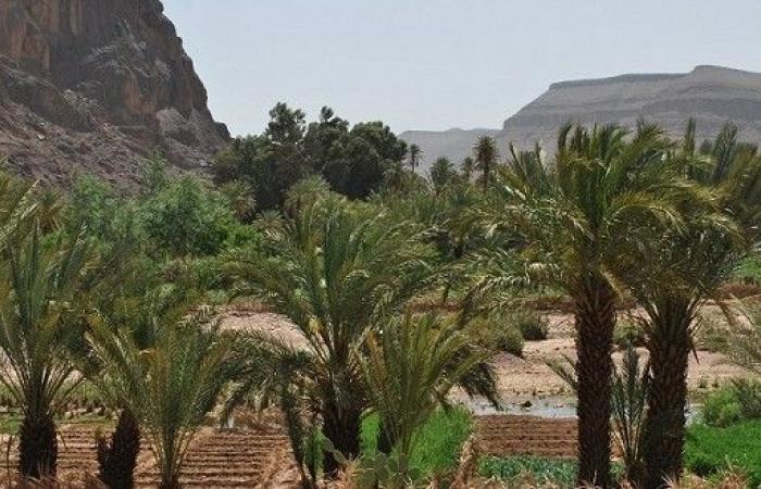 Akhannouch destacó la experiencia del Reino en adaptación al cambio climático – AgriMaroc.ma