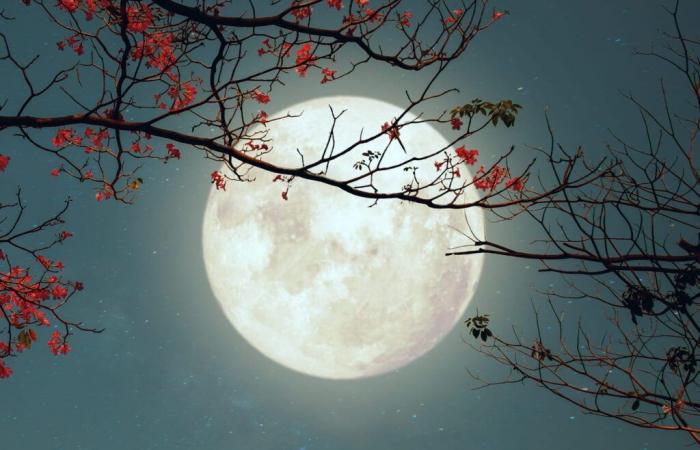 La Luna Llena del Castor potenciará los amores de todos estos signos, los astrólogos lo tienen claro