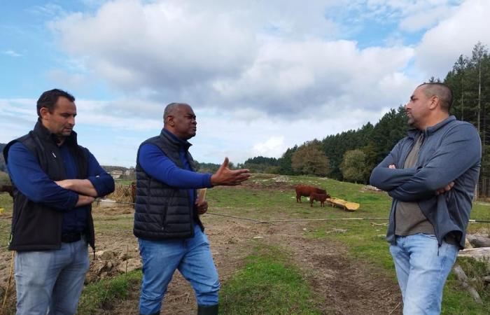 Precio de venta: el prefecto se reunió con los agricultores | Agricultura Macizo central