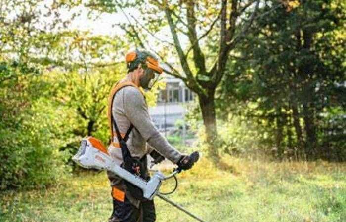 El potente trabajo de radio de STIHL lleva a duplicar la concienciación (+81%)