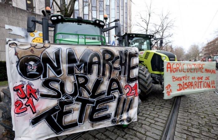 CÔTE-D’OR: Reanudación del movimiento social campesino