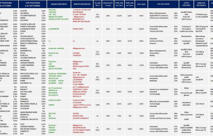 Small Caps: las últimas opciones de las estrellas de la gestión