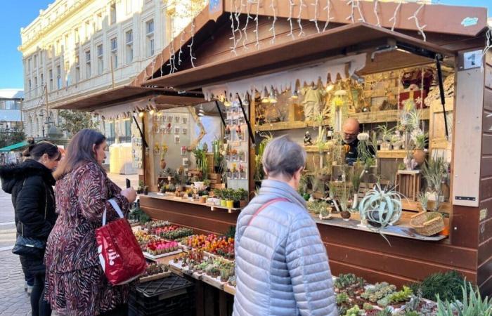 Mercados navideños previstos para el fin de semana del 16 y 17 de noviembre