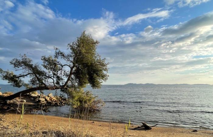 TOULON: Tiempo – El jueves habrá sol en Provenza