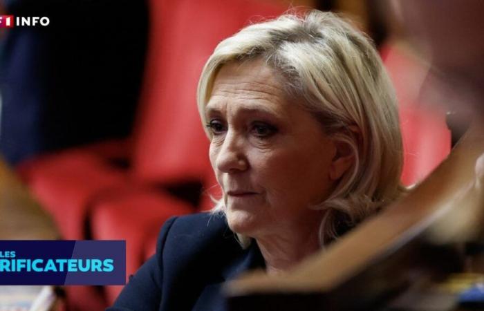 VERIFICAR – ¿Marine Le Pen es objeto de “un juicio político”? Comprobamos los argumentos de la extrema derecha