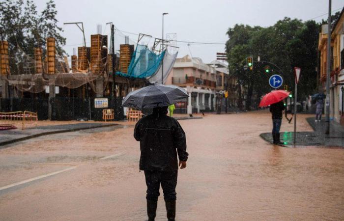 VIDEO. Inundaciones en España: “peligro extremo” en Málaga y Valencia… Imágenes espectaculares del nuevo mal tiempo que azota el país