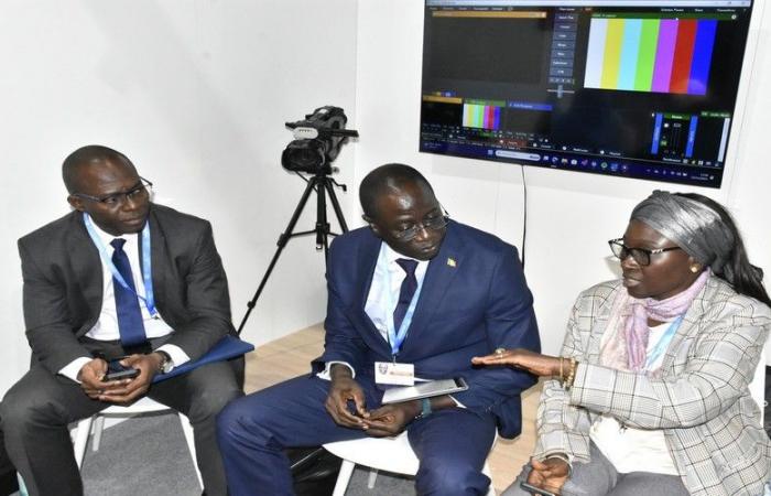 COP29: Hacia el fortalecimiento del sistema de alerta temprana para evitar desbordes del río Senegal – VivAfrik