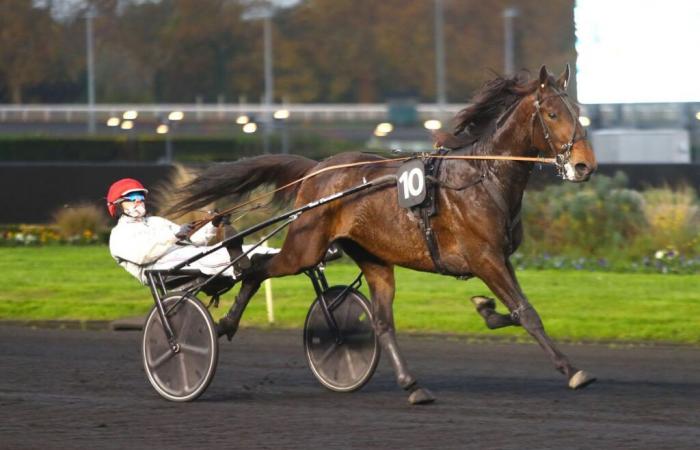 Jueves 14/11 en Vincennes – Premio Agathe: el billete verde ya está ahí