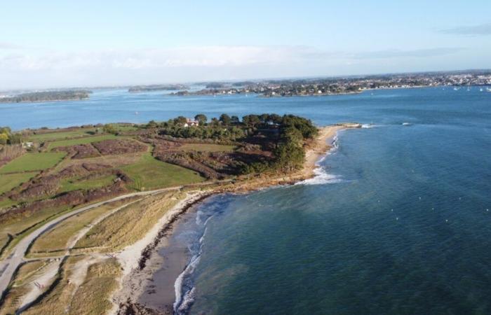 Nueve meses después de la contaminación en el golfo de Morbihan, la gendarmería lanza una convocatoria de testigos