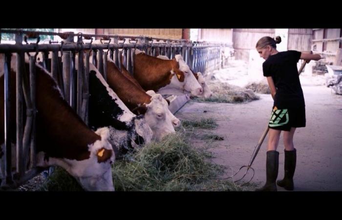 Una película coronada con un César proyectada en el festival de cortometrajes de esta localidad de Sarthe