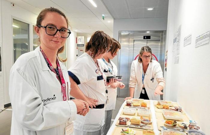 En Plérin, el hospital privado de Côtes-d’Armor advierte sobre la desnutrición