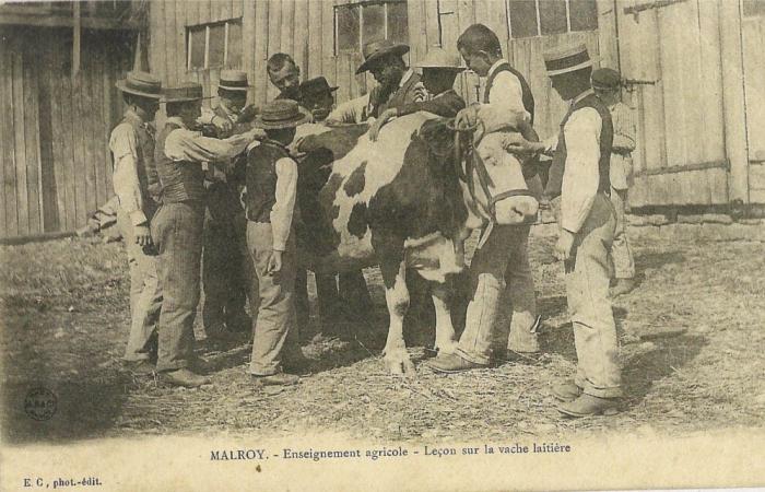 Centrarse en el campo de antaño