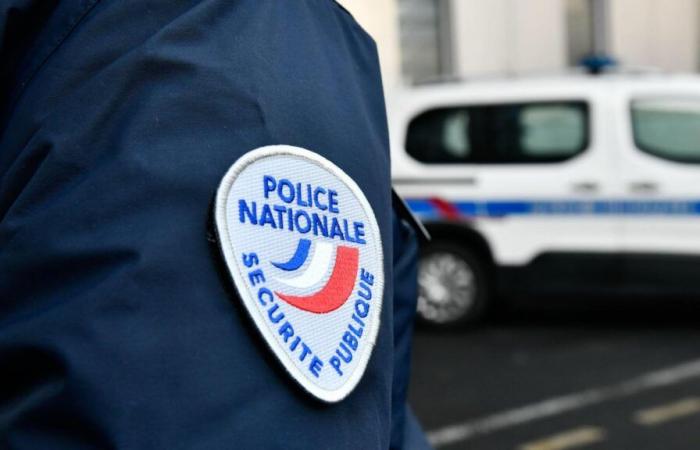 Nanterre: un hombre atropellado por un tren tras un incidente con agentes de la RATP