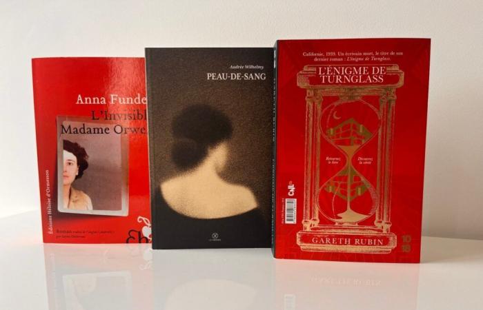 Grand Prix des Readers 2025: los 3 nuevos libros seleccionados (2/8)