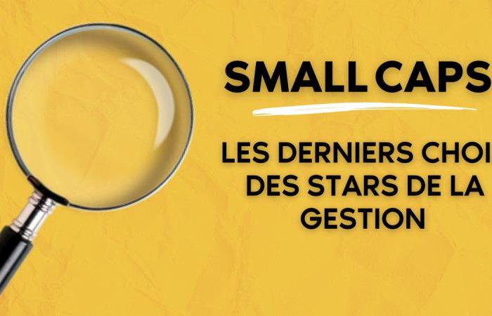 Small Caps: las últimas opciones de las estrellas de la gestión