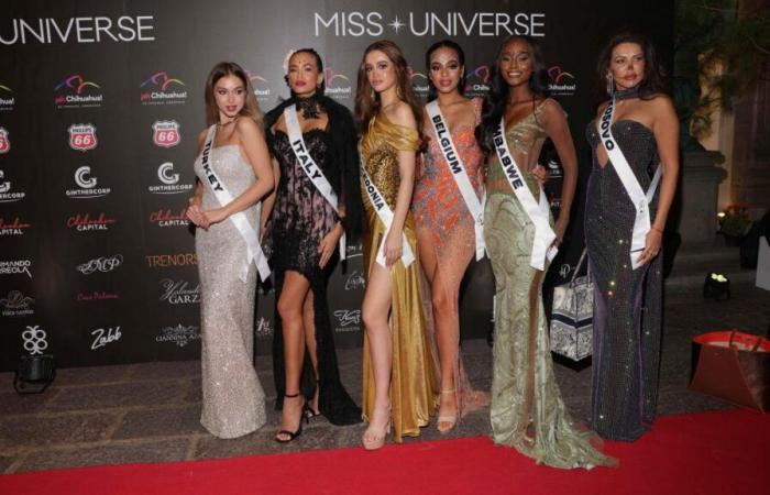 Todo lo que necesitas saber sobre la elección de Miss Universo 2024